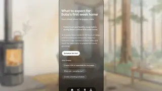 دسترسی رایگان به اپ آزمایشی «دریم‌بینز»؛ فید فوق‌شخصی‌سازی‌شده گوگل حالا برای کاربران عادی باز شد