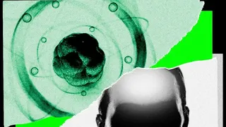 هوش مصنوعی سراغ ریاضیات آمد؛ حالا دنبال بقیه علوم است